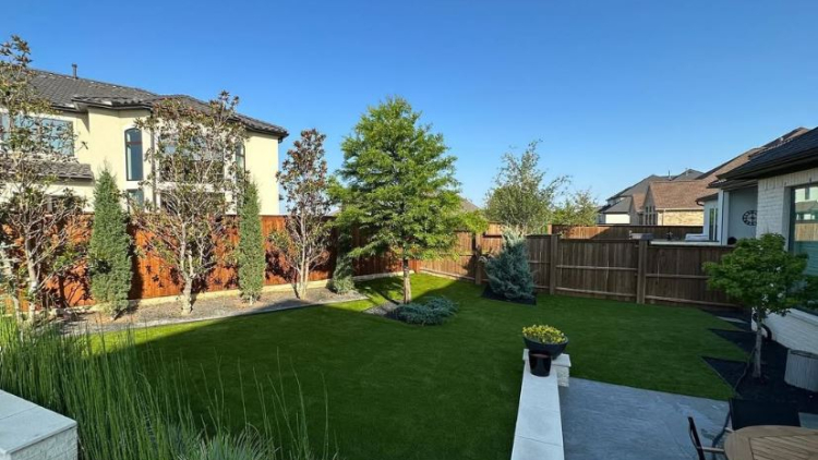 Landscaping Transformation: From Bare to Beautiful